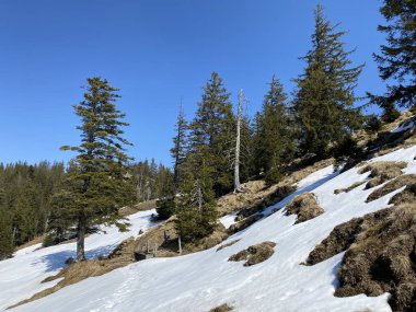 Erken bahar atmosferi ve Alptal Alp Vadisi 'ndeki son kış kalıntıları, Einsiedeln - Schwyz Kantonu, İsviçre (Schweiz)