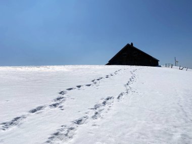 Erken bahar atmosferi ve Alptal Alp Vadisi 'ndeki son kış kalıntıları, Einsiedeln - Schwyz Kantonu, İsviçre (Schweiz)