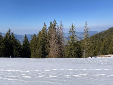Erken bahar atmosferi ve Alptal Alp Vadisi 'ndeki son kış kalıntıları, Einsiedeln - Schwyz Kantonu, İsviçre (Schweiz)
