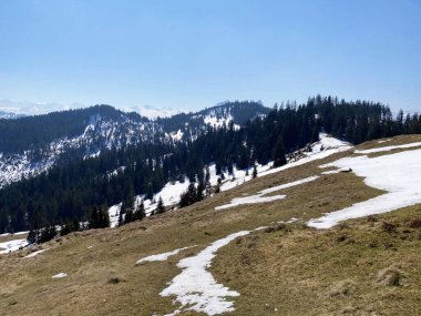 Erken bahar atmosferi ve Alptal Alp Vadisi 'ndeki son kış kalıntıları, Einsiedeln - Schwyz Kantonu, İsviçre (Schweiz)