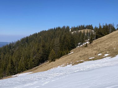 Erken bahar atmosferi ve Alptal Alp Vadisi 'ndeki son kış kalıntıları, Einsiedeln - Schwyz Kantonu, İsviçre (Schweiz)