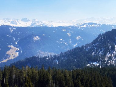 Erken bahar atmosferi ve Alptal Alp Vadisi 'ndeki son kış kalıntıları, Einsiedeln - Schwyz Kantonu, İsviçre (Schweiz)