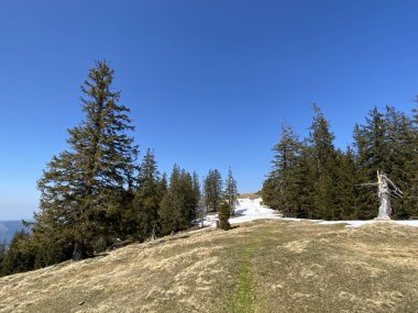 Erken bahar atmosferi ve Alptal Alp Vadisi 'ndeki son kış kalıntıları, Einsiedeln - Schwyz Kantonu, İsviçre (Schweiz)