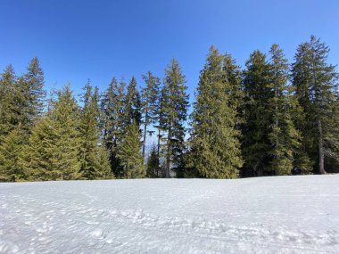 Erken bahar atmosferi ve Alptal Alp Vadisi 'ndeki son kış kalıntıları, Einsiedeln - Schwyz Kantonu, İsviçre (Schweiz)