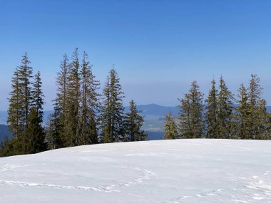 Erken bahar atmosferi ve Alptal Alp Vadisi 'ndeki son kış kalıntıları, Einsiedeln - Schwyz Kantonu, İsviçre (Schweiz)