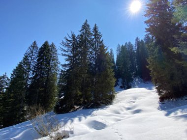 Erken bahar atmosferi ve Alptal Alp Vadisi 'ndeki son kış kalıntıları, Einsiedeln - Schwyz Kantonu, İsviçre (Schweiz)