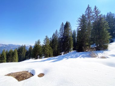 Erken bahar atmosferi ve Alptal Alp Vadisi 'ndeki son kış kalıntıları, Einsiedeln - Schwyz Kantonu, İsviçre (Schweiz)