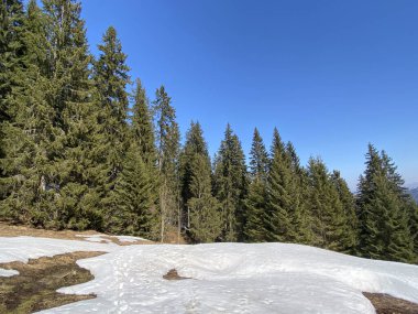 Erken bahar atmosferi ve Alptal Alp Vadisi 'ndeki son kış kalıntıları, Einsiedeln - Schwyz Kantonu, İsviçre (Schweiz)