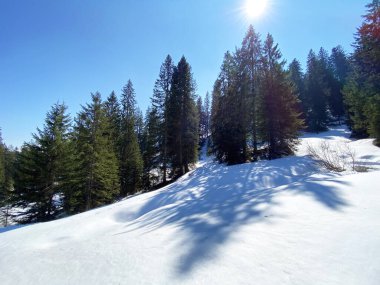 Erken bahar atmosferi ve Alptal Alp Vadisi 'ndeki son kış kalıntıları, Einsiedeln - Schwyz Kantonu, İsviçre (Schweiz)