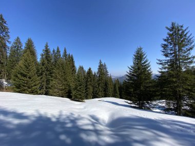 Erken bahar atmosferi ve Alptal Alp Vadisi 'ndeki son kış kalıntıları, Einsiedeln - Schwyz Kantonu, İsviçre (Schweiz)
