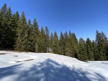 Erken bahar atmosferi ve Alptal Alp Vadisi 'ndeki son kış kalıntıları, Einsiedeln - Schwyz Kantonu, İsviçre (Schweiz)