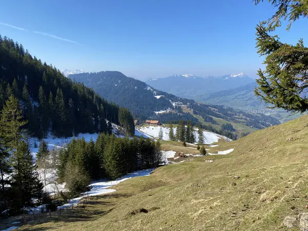 Vorfrühlingsatmosphäre Und Die Letzten Überreste Des Winters Alptal Einsiedeln Kanton — Stockfoto