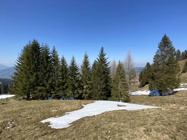 Atmosphère Printanière Précoce Les Derniers Vestiges Hiver Dans Vallée Alpine — Photo