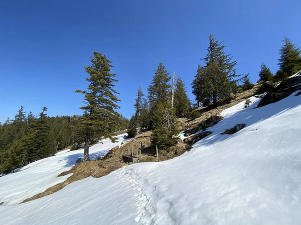 Atmosphère Printanière Précoce Les Derniers Vestiges Hiver Dans Vallée Alpine — Photo