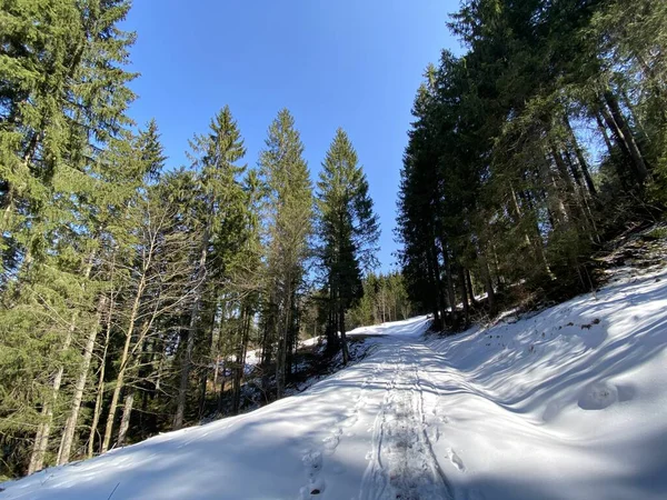 早春の雰囲気とアルプスの高山の谷での冬の最後の残りの部分 Einsiedeln シュヴィーツのカントン スイス スイス — ストック写真