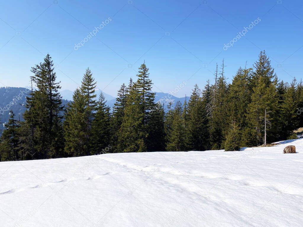 The early spring atmosphere and the last remnants of winter in the Alptal alpine valley, Einsiedeln - Canton of Schwyz, Switzerland (Schweiz)