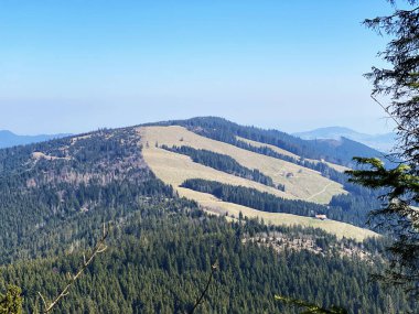 Alp Dağı tepesi Nuesellstock veya Alptal Vadisi üzerindeki Nusellstock, Einsiedeln - Schwyz Kantonu, İsviçre (Schweiz)