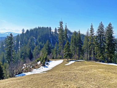 Alp Dağı tepesi Hoech Taendli veya Hoch Tandli Alptal Vadisi üzerinde, Einsiedeln - Schwyz Kantonu, İsviçre (Schweiz)