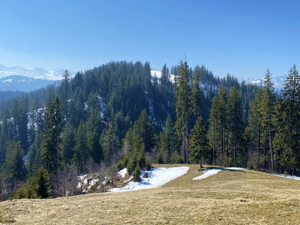 Colline Montagne Alpine Hoech Taendli Hoch Tandli Sur Vallée Alptal — Photo