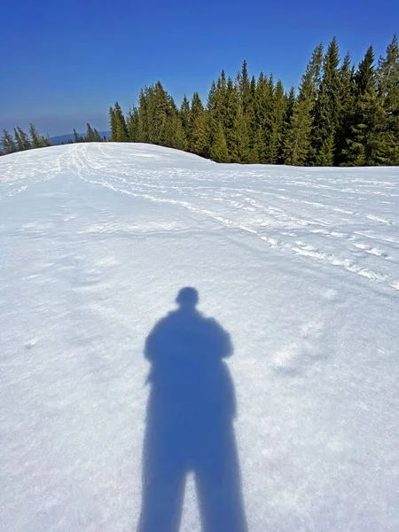 Sun Shadow Hiker Frish Spring Alpine Snow Einsiedeln Canton Schwyz — Stock Photo, Image