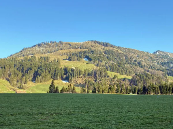 Alpenbergen Chli Amseln Amselspitz Het Alptal Einsiedeln Kanton Schwyz Zwitserland — Stockfoto