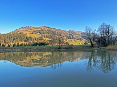 Aubach deresinde ve Alptal subalpine vadisinde, Einsiedeln - Schwyz Kantonu, İsviçre (Schweiz)
