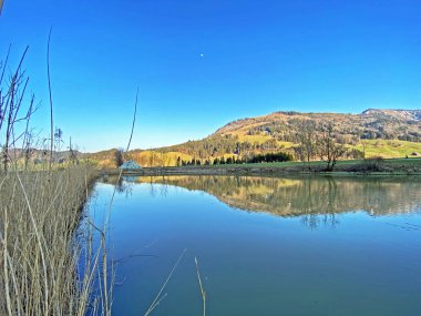 Aubach deresinde ve Alptal subalpine vadisinde, Einsiedeln - Schwyz Kantonu, İsviçre (Schweiz)