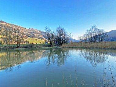 Aubach deresinde ve Alptal subalpine vadisinde, Einsiedeln - Schwyz Kantonu, İsviçre (Schweiz)