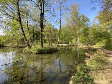 Küçük göller veya göletler boyunca ağaçlarla kaplı bir bahar manzarası ve Glatt Nehri - Zuerich veya Zürih, İsviçre (Schweiz)
