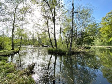 Küçük göller veya göletler boyunca ağaçlarla kaplı bir bahar manzarası ve Glatt Nehri - Zuerich veya Zürih, İsviçre (Schweiz)