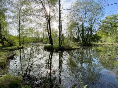 Küçük göller veya göletler boyunca ağaçlarla kaplı bir bahar manzarası ve Glatt Nehri - Zuerich veya Zürih, İsviçre (Schweiz)