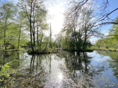 Küçük göller veya göletler boyunca ağaçlarla kaplı bir bahar manzarası ve Glatt Nehri - Zuerich veya Zürih, İsviçre (Schweiz)