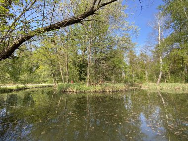 Küçük göller veya göletler boyunca ağaçlarla kaplı bir bahar manzarası ve Glatt Nehri - Zuerich veya Zürih, İsviçre (Schweiz)