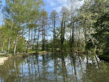 Küçük göller veya göletler boyunca ağaçlarla kaplı bir bahar manzarası ve Glatt Nehri - Zuerich veya Zürih, İsviçre (Schweiz)