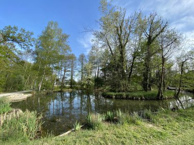 Küçük göller veya göletler boyunca ağaçlarla kaplı bir bahar manzarası ve Glatt Nehri - Zuerich veya Zürih, İsviçre (Schweiz)