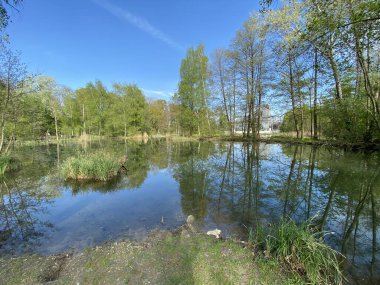 Küçük göller veya göletler boyunca ağaçlarla kaplı bir bahar manzarası ve Glatt Nehri - Zuerich veya Zürih, İsviçre (Schweiz)