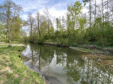 Küçük göller veya göletler boyunca ağaçlarla kaplı bir bahar manzarası ve Glatt Nehri - Zuerich veya Zürih, İsviçre (Schweiz)