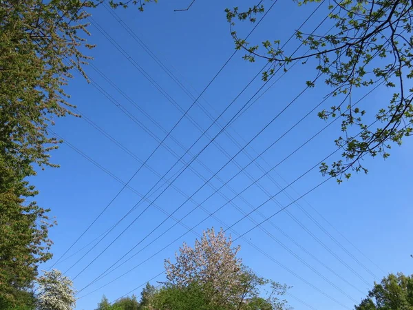 Metal Poles Wires Electrical Transmission Line Zuerich Zurich Switzerland Schweiz — Stock Photo, Image