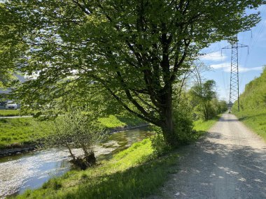 Glatt Nehri boyunca dinlenme yolları ve küçük göl ve göletleri geçince - Zuerich veya Zürih, İsviçre (Schweiz)