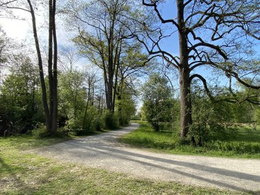 Glatt Nehri boyunca dinlenme yolları ve küçük göl ve göletleri geçince - Zuerich veya Zürih, İsviçre (Schweiz)