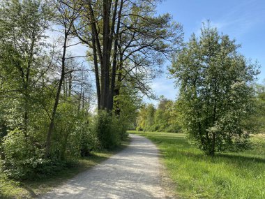 Glatt Nehri boyunca dinlenme yolları ve küçük göl ve göletleri geçince - Zuerich veya Zürih, İsviçre (Schweiz)