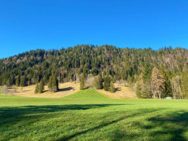 Ruemlig veya Rumlig Nehri boyunca uzanan Eigental Alp Vadisi, İsviçre 'nin Lucerne Kantonu (Kanton Luzern, Schweiz)