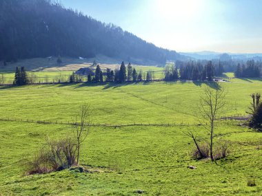 Ruemlig veya Rumlig Nehri boyunca uzanan Eigental Alp Vadisi, İsviçre 'nin Lucerne Kantonu (Kanton Luzern, Schweiz)