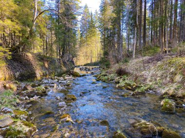 Alp nehri Ruemlig ya da Eigental vadisinde Rumlig, Eigental - Lucerne Kantonu, İsviçre (Kanton Luzern, Schweiz)
