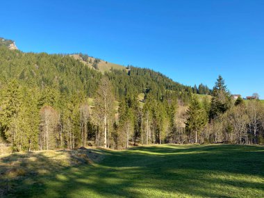 Eigental Alp Vadisi 'ndeki tepelerin yamaçlarında karışık ormanlar ve seyreltilmiş ağaçlar, Eigenthal - Lucerne Kantonu, İsviçre (Kanton Luzern, Schweiz)