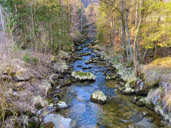 Αλπικός Ποταμός Ruemlig Rumlig Στην Υποαλπική Κοιλάδα Eigental Eigenthal Καντόνιο — Φωτογραφία Αρχείου