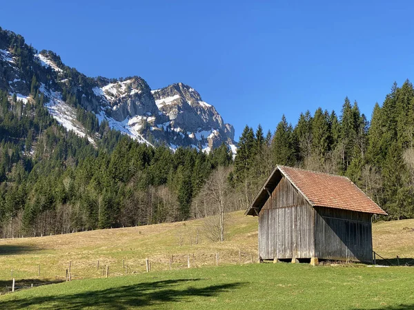 전통적 농장들 이에그 골짜기 스위스 루체른의 바이츠 — 스톡 사진