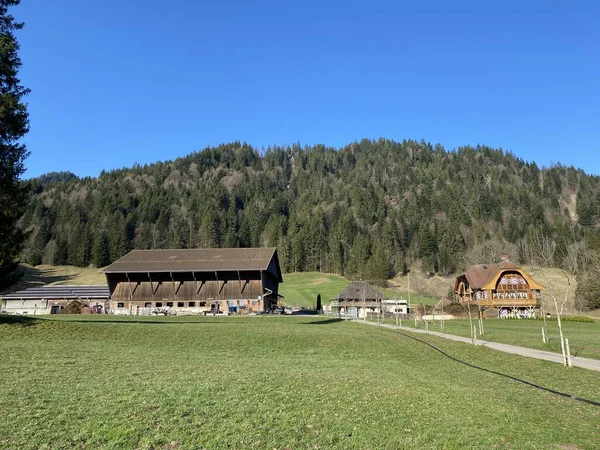 Traditional Rural Architecture Family Livestock Farms Eigental Valley Eigenthal Canton — Stock Photo, Image