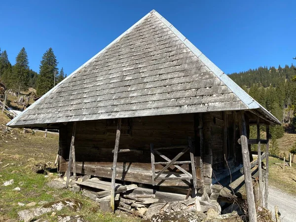 Architecture Rurale Traditionnelle Fermes Familiales Élevage Dans Vallée Eigenthal Eigenthal — Photo