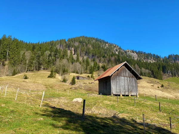伝統的な農村建築と家族経営の家畜農場 スイス ルツェルン州 カントン ルツェルン スイス — ストック写真